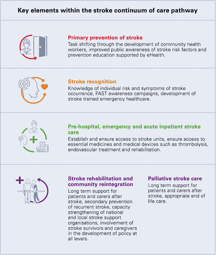 Launch of updated policy brief, ‘Acting on Stroke and NCDs’ ahead of